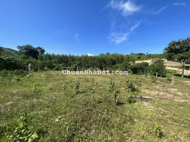 Bán đất thổ cư 400m2 gần Quốc Lộ 27C giá chỉ 480tr LH 0788.558.552 Bán đất thổ cư 400m2 gần Quốc Lộ 27C giá chỉ 480tr LH 0788.558.552