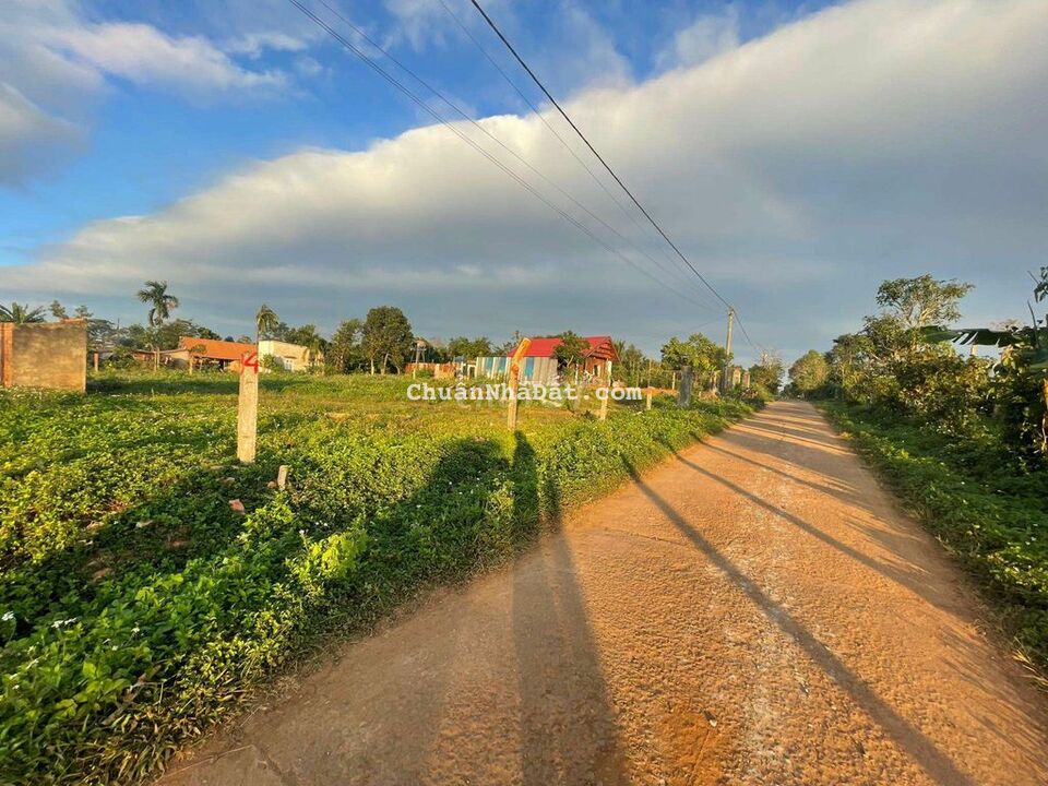 Bán Đất 2 Mặt Tiền 5×50 có Thổ. Thị Trấn Pơng Drang Krông Buk Đắk Lắk Bán Đất 2 Mặt Tiền 5×50 có Thổ. Thị Trấn Pơng Drang Krông Buk Đắk Lắk