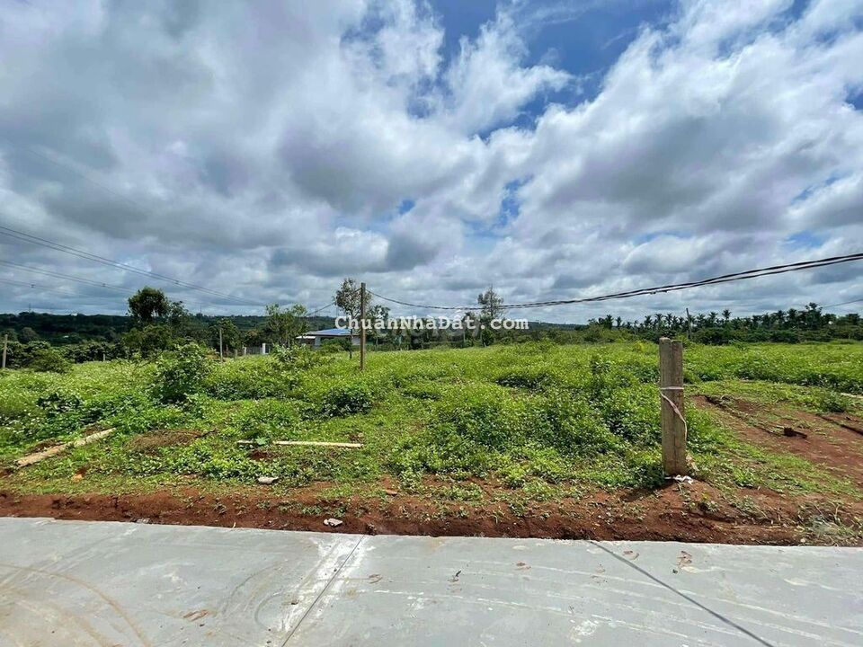 Bán Đất 2 Mặt Tiền 5×50 có Thổ. Thị Trấn Pơng Drang Krông Buk Đắk Lắk Bán Đất 2 Mặt Tiền 5×50 có Thổ. Thị Trấn Pơng Drang Krông Buk Đắk Lắk