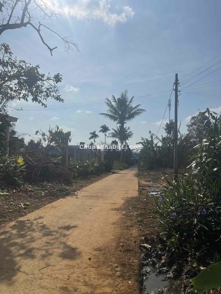 đất phân lô km19 Ea Knuec gần hồ 20x50 tc200m2