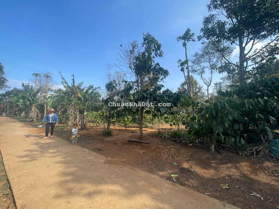 đất phân lô km19 Ea Knuec gần hồ 20x50 tc200m2