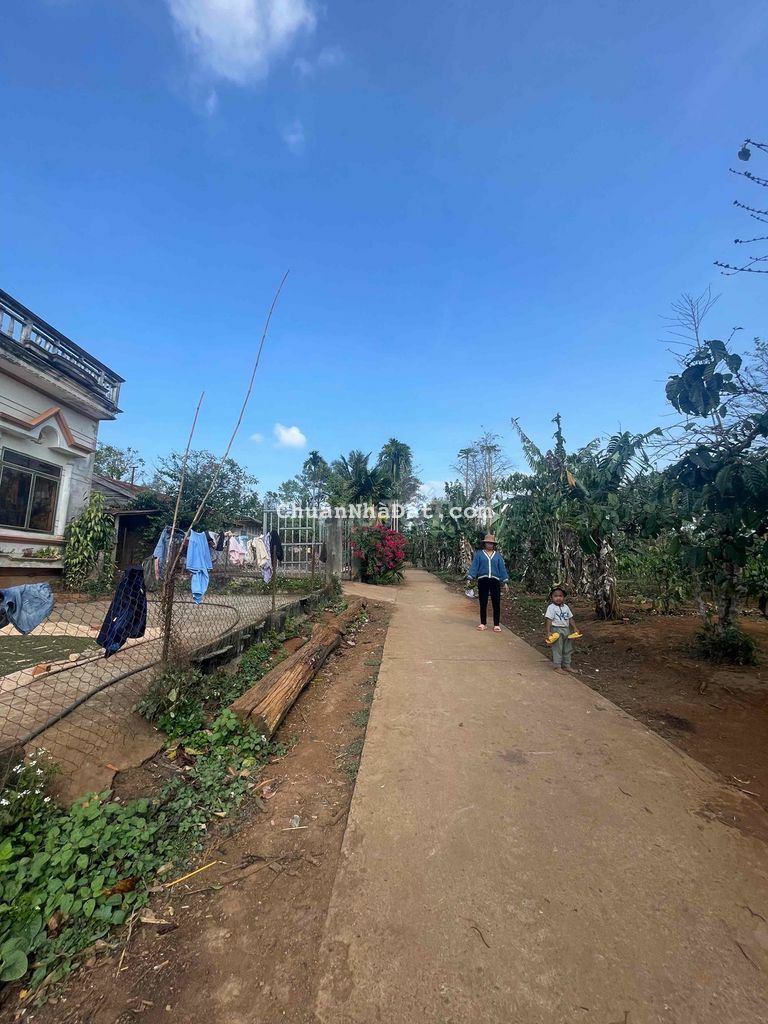 đất phân lô km19 Ea Knuec gần hồ 20x50 tc200m2