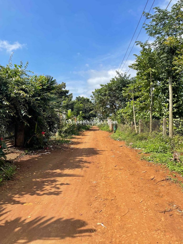 Đất TC 9,8x56m sau chợ Ea Knuec 1,5km (hổ trợ vay)