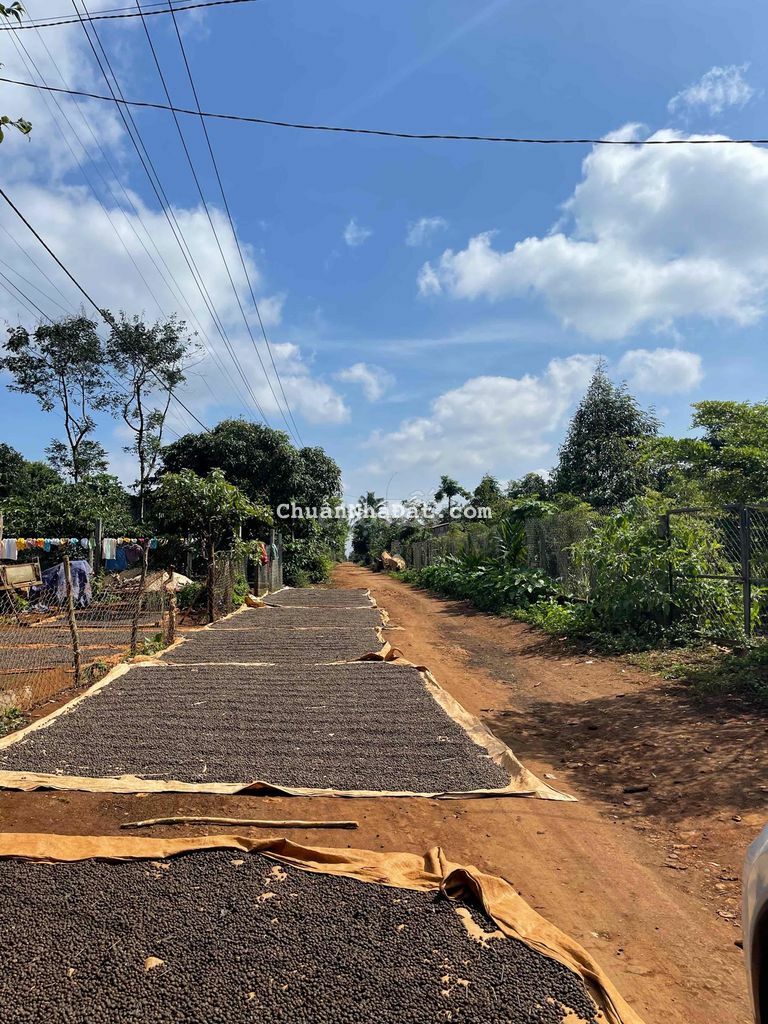 Đất TC 9,8x56m sau chợ Ea Knuec 1,5km (hổ trợ vay)