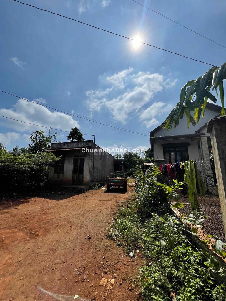 Đất TC 9,8x56m sau chợ Ea Knuec 1,5km (hổ trợ vay)