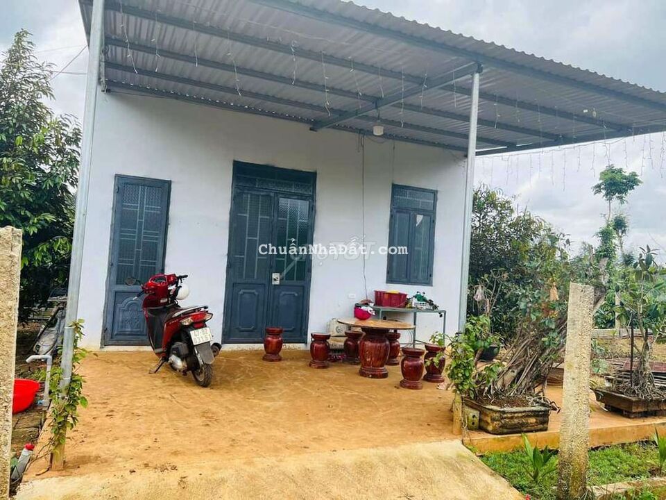 Chỉ 350tr Sở Hữu 820m² Đất Sầu Riêng, Có Nhà Cấp 4 Sẵn, Cách QL26 700m Chỉ 350tr Sở Hữu 820m² Đất Sầu Riêng, Có Nhà Cấp 4 Sẵn, Cách QL26 700m