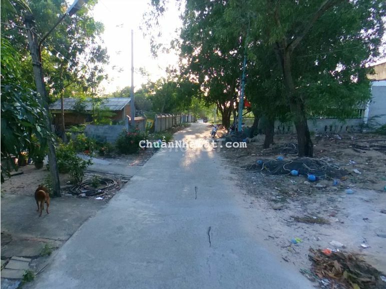 Bán đất 5x40m, 175m2 thổ cư, mt Nguyễn Trung Trực, Phước Lộc La Gi Bán đất 5x40m, 175m2 thổ cư, mt Nguyễn Trung Trực, Phước Lộc La Gi