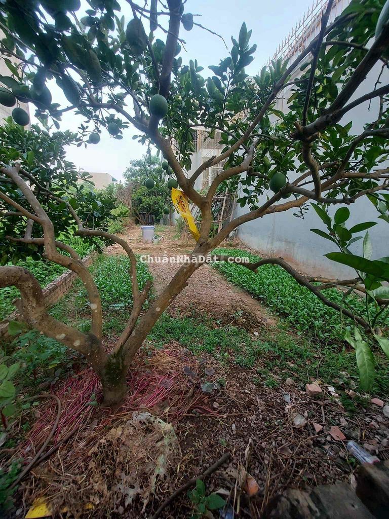 Dt76m mt 5m phân lô ô tô tránh đầu tư ở sướng kd