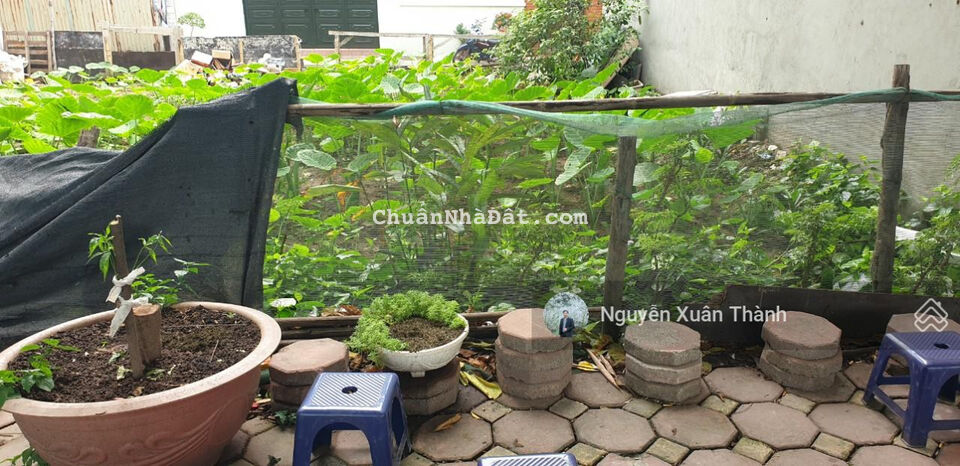 Hạ giá bán gấp! Đất mặt phố Phạm Khắc Quảng, 2 mặt đường, kinh doanh, DT 84m2, MT 7.5m, nhỉnh 14 tỷ