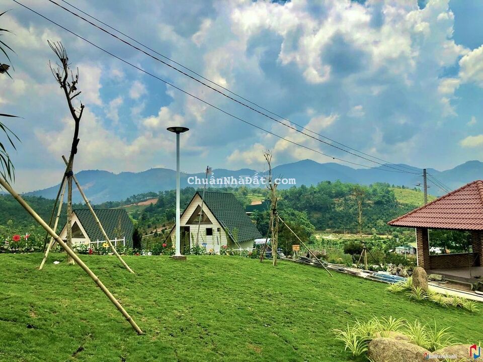 Bán gấp 1 sào mặt tiền nhựa Thọ An Bảo Quang 1,3tỷ thôi Bán gấp 1 sào mặt tiền nhựa Thọ An Bảo Quang 1,3tỷ thôi