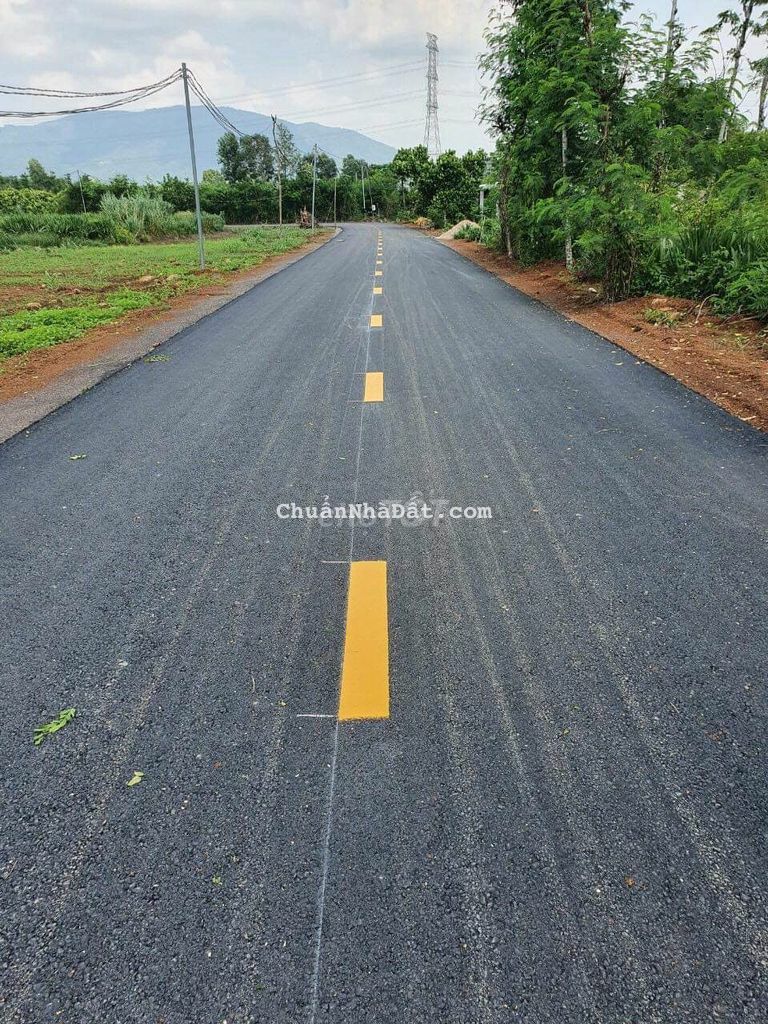 Bán gấp 1 sào mặt tiền nhựa Thọ An Bảo Quang 1,3tỷ thôi Bán gấp 1 sào mặt tiền nhựa Thọ An Bảo Quang 1,3tỷ thôi