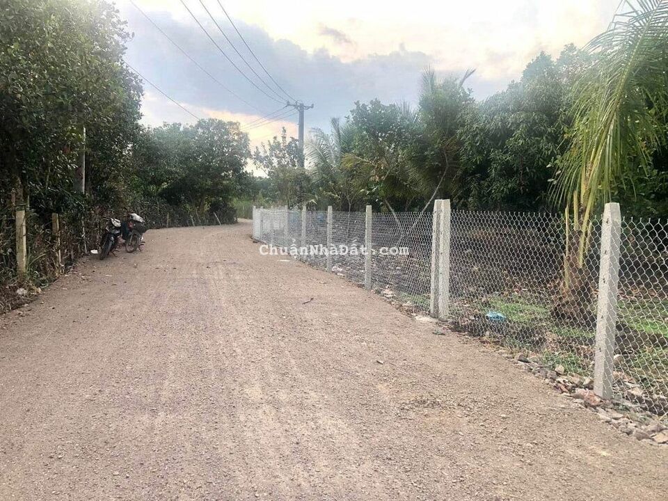 Bán gấp 1 sào Bảo Hoà, cạnh cao tốc Phan Thiết chỉ 1,1 tỷ