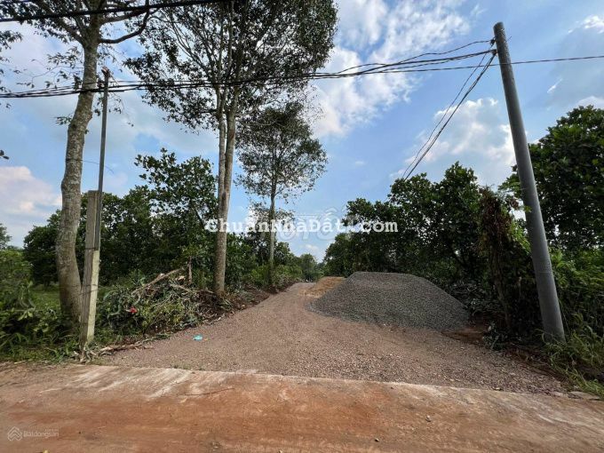 Bán gấp 1,1 sào Thọ Trung Bảo Quang phủ hồng, đông dân 1,1tỷ Bán gấp 1,1 sào Thọ Trung Bảo Quang phủ hồng, đông dân 1,1tỷ