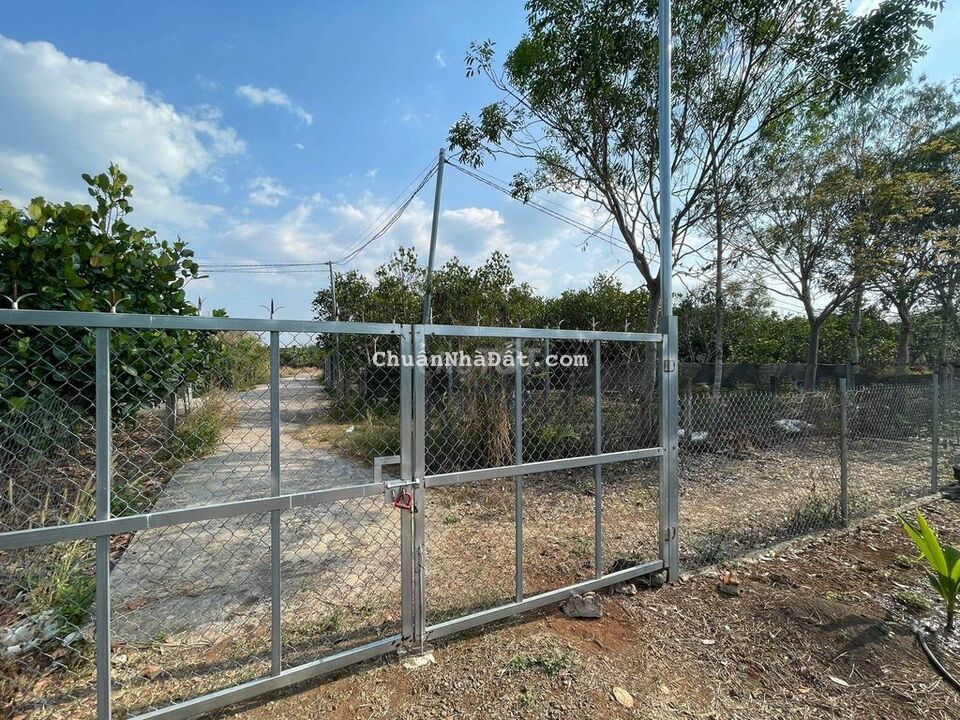 Bán lỗ hơn 1,1 sào chợ Bình Lộc, kín dân, bê tông mặt nhựa 1,5tỷ Bán lỗ hơn 1,1 sào chợ Bình Lộc, kín dân, bê tông mặt nhựa 1,5tỷ