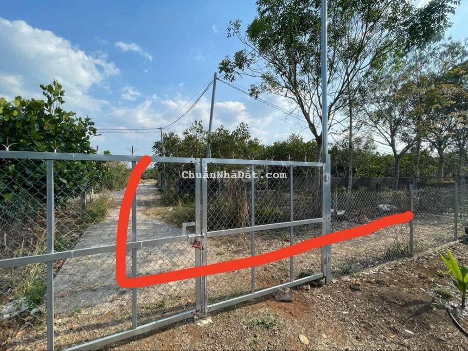 Bán lỗ hơn 1,1 sào chợ Bình Lộc, kín dân, bê tông mặt nhựa 1,5tỷ Bán lỗ hơn 1,1 sào chợ Bình Lộc, kín dân, bê tông mặt nhựa 1,5tỷ