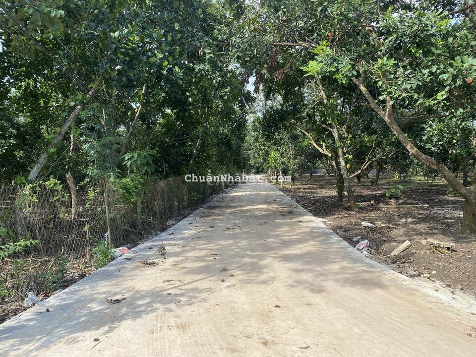 Đất vườn trái cây giá ngộp chỉ 1,2 tỷ/sào tại Long Khánh Đất vườn trái cây giá ngộp chỉ 1,2 tỷ/sào tại Long Khánh