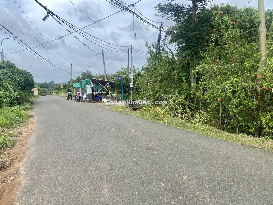 Hơn 2 sào vườn trái cây tại Long Khánh giá cực tốt Hơn 2 sào vườn trái cây tại Long Khánh giá cực tốt