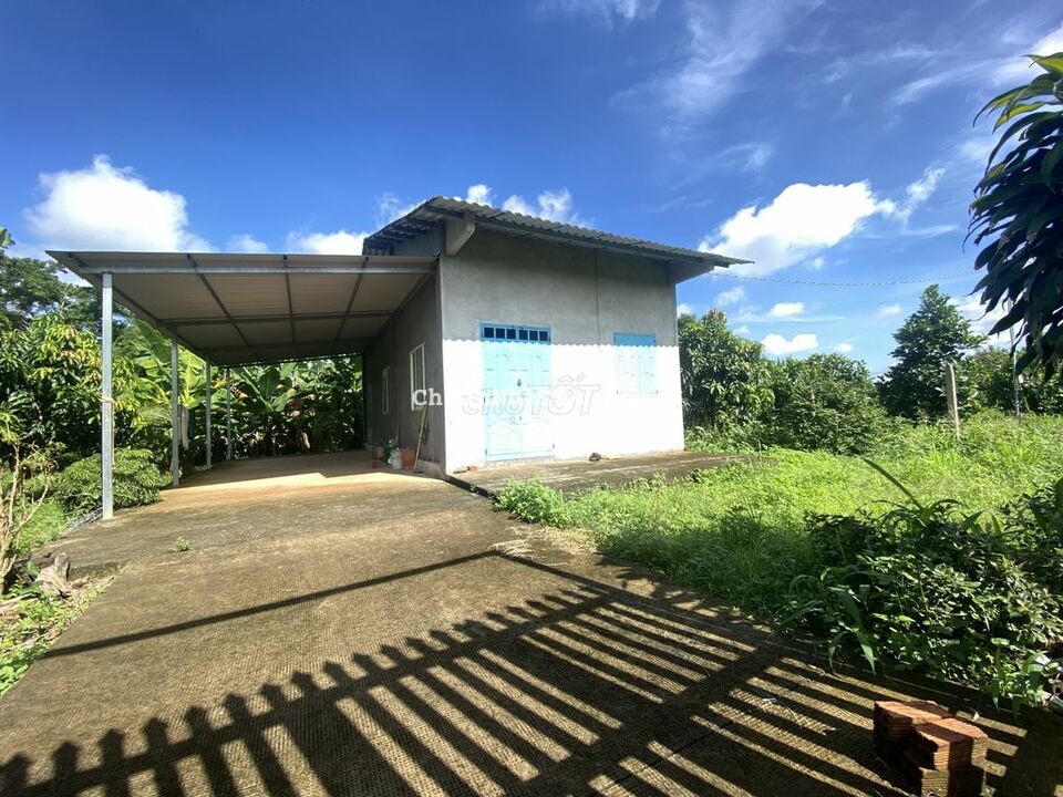 Bán lỗ lô đất vườn tâm huyết tại Xuân Lập - Long Khánh