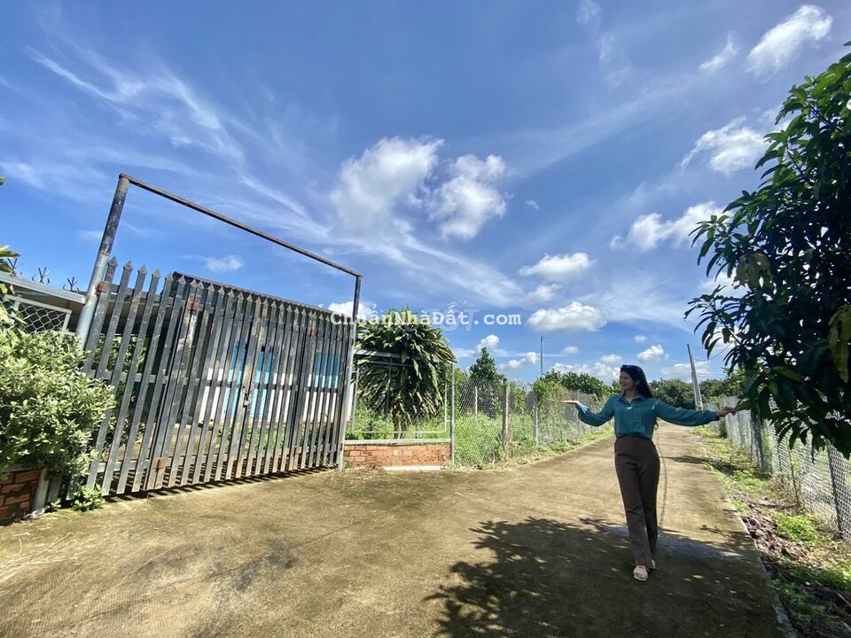 Bán lỗ lô đất vườn tâm huyết tại Xuân Lập - Long Khánh