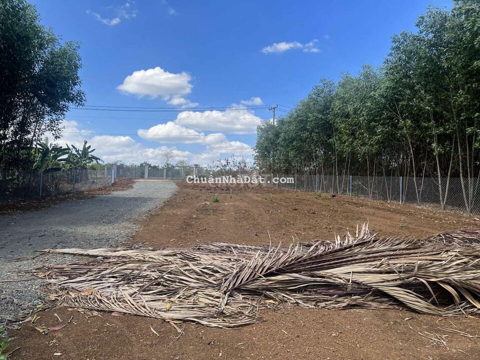 Kẹt tiền bán 1000n2 mặt hồ Bàu Cạn. Tặng thêm 1400m2. Tổng 2400m2