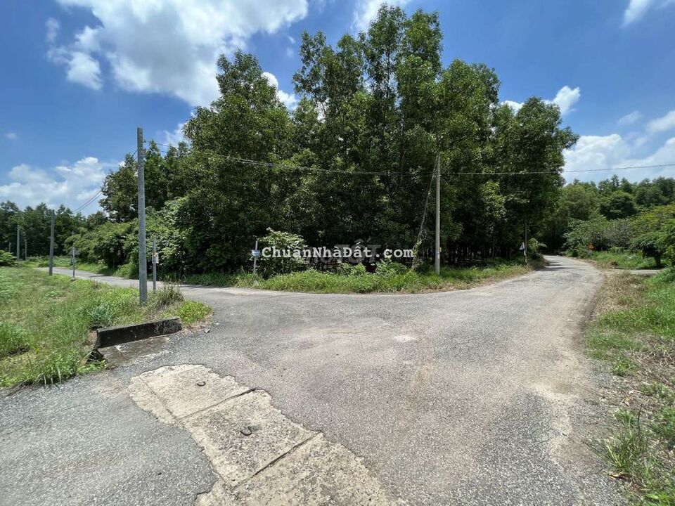 Chủ ngộp cần bán 1150m2 đất xã Tân Hiệp, Long Thành. Sổ hồng riêng