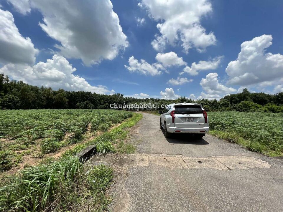 Chủ ngộp cần bán 1150m2 đất xã Tân Hiệp, Long Thành. Sổ hồng riêng