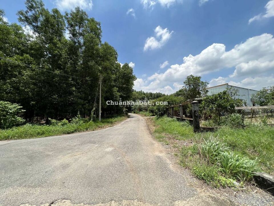 Chủ ngộp cần bán 1150m2 đất xã Tân Hiệp, Long Thành. Sổ hồng riêng