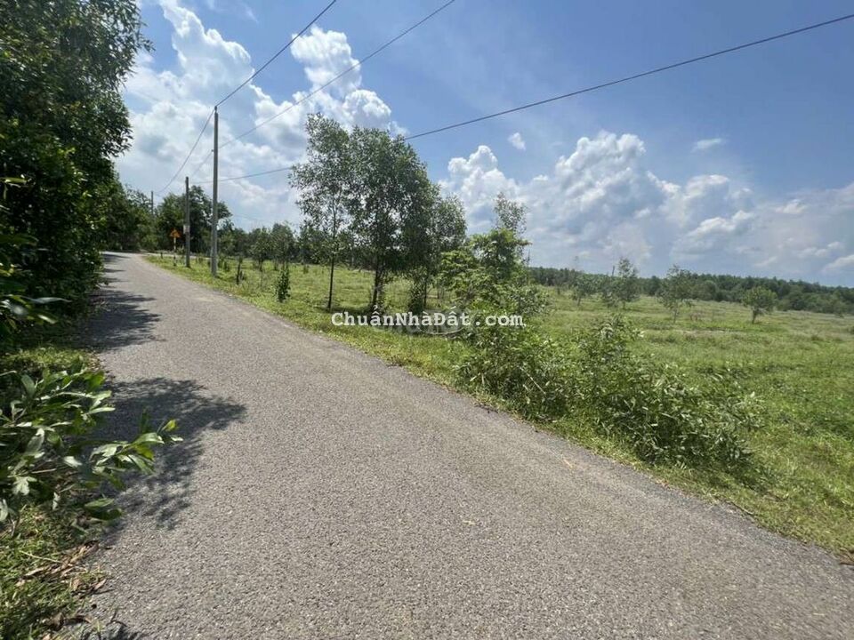 Bán 500m2 đất mặt tiền đường 15m xã Long An, Long Thành. Sổ hồng riêng