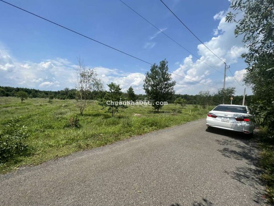 Bán 500m2 đất mặt tiền đường 15m xã Long An, Long Thành. Sổ hồng riêng