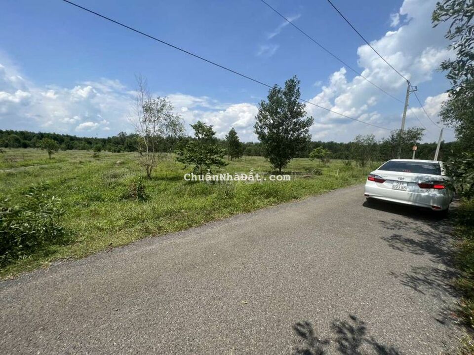 Bán 500m2 đất mặt tiền đường 15m xã Long An, Long Thành. Sổ hồng riêng