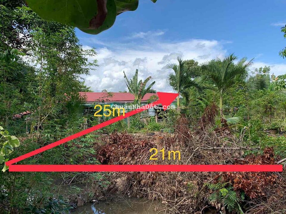 Bán nền gần chợ Cái Sắn