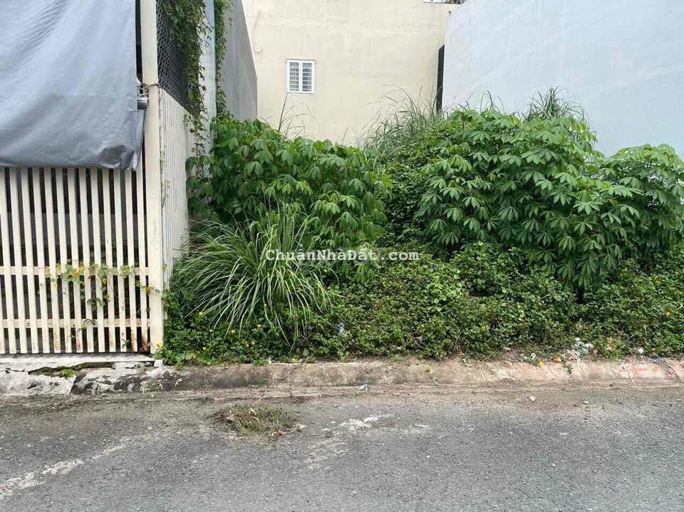 Bán nền đường Ỷ Lan giá rẻ Bán nền đường Ỷ Lan giá rẻ