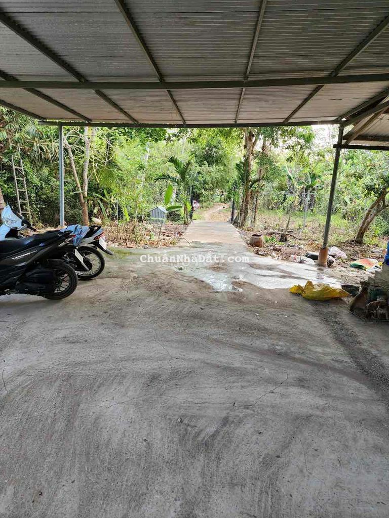 Bán nền nhánh tỉnh lộ 943 - mỹ hoà Bán nền nhánh tỉnh lộ 943 - mỹ hoà