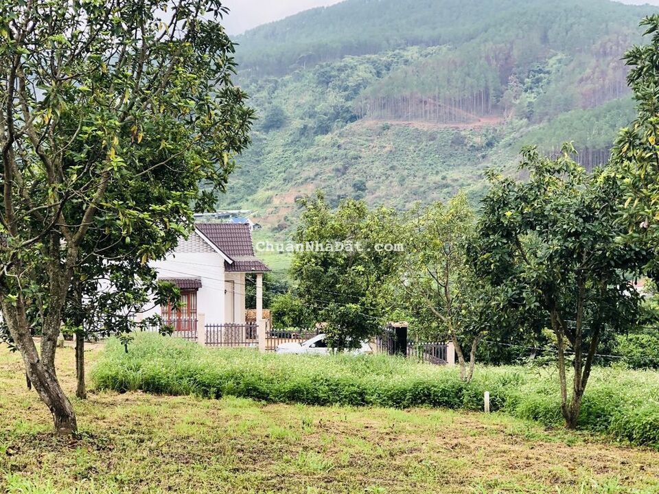 Đất thổ cư cách UBND xã Đông Thanh 700m có vườn sẵn mát mẻ quanh năm Đất thổ cư cách UBND xã Đông Thanh 700m có vườn sẵn mát mẻ quanh năm