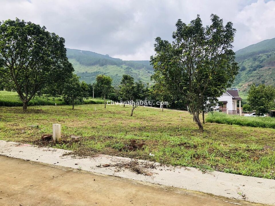 Đất thổ cư cách UBND xã Đông Thanh 700m có vườn sẵn mát mẻ quanh năm Đất thổ cư cách UBND xã Đông Thanh 700m có vườn sẵn mát mẻ quanh năm