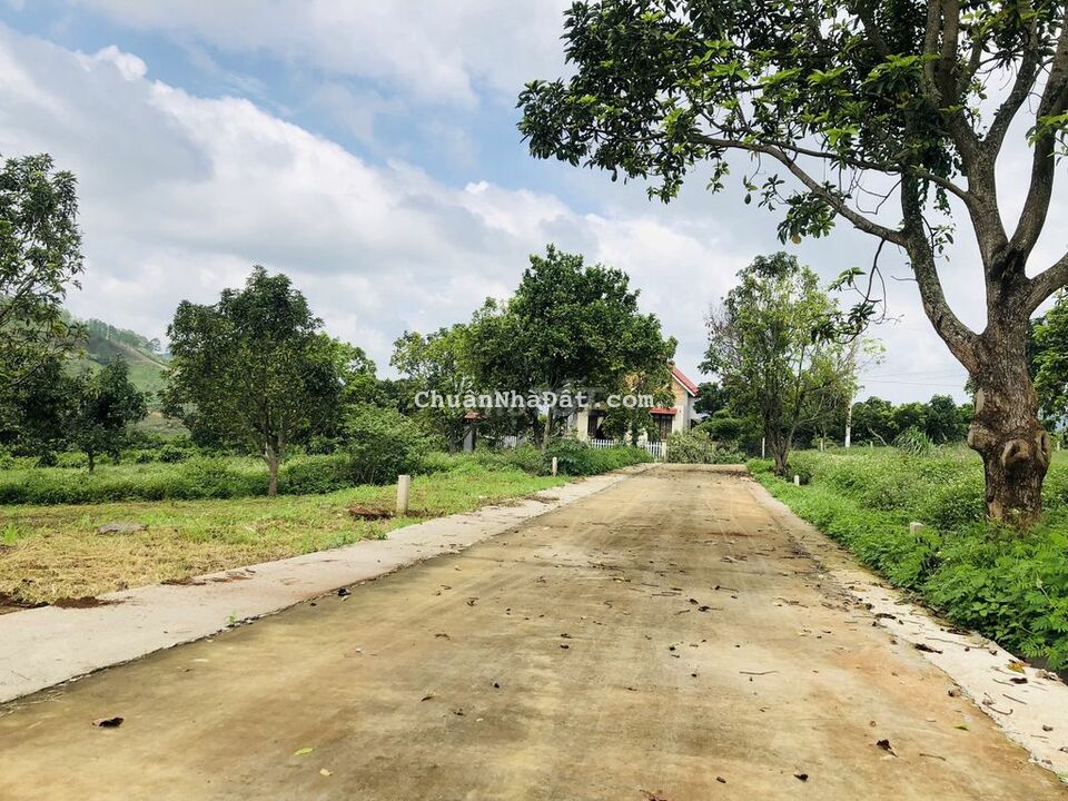 Đất thổ cư cách UBND xã Đông Thanh 700m có vườn sẵn mát mẻ quanh năm Đất thổ cư cách UBND xã Đông Thanh 700m có vườn sẵn mát mẻ quanh năm