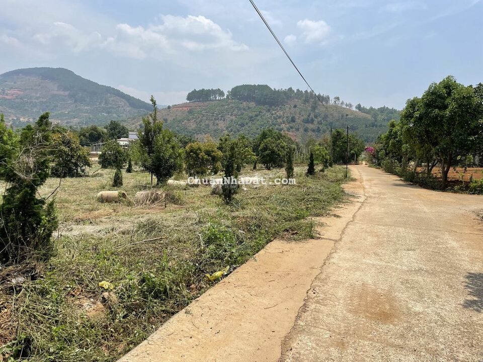 Đất thổ cư thị trấn Nam Ban cách ĐT 725 600m