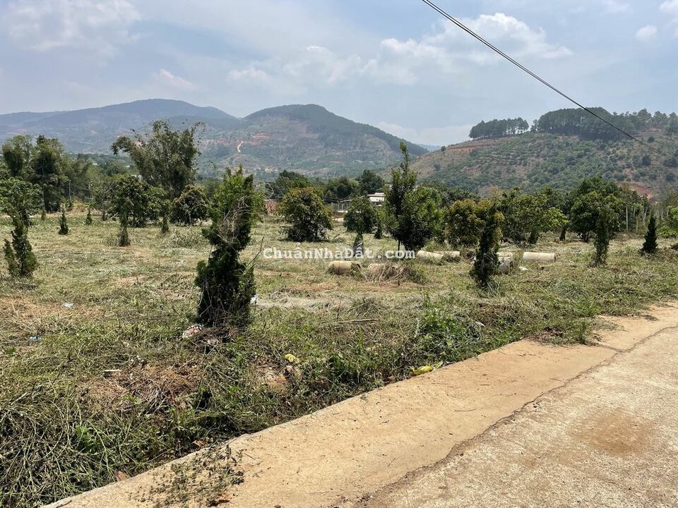 Đất thổ cư thị trấn Nam Ban cách ĐT 725 600m