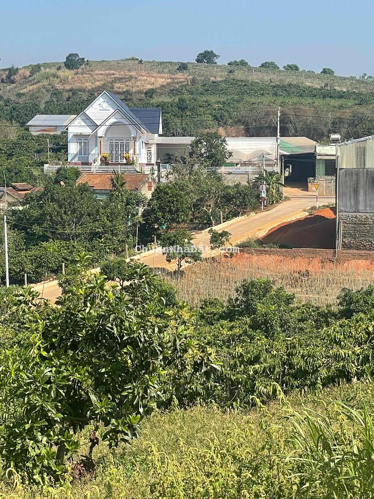 Đất thổ cư thị trấn Nam Ban cách nhựa 100m Đất thổ cư thị trấn Nam Ban cách nhựa 100m