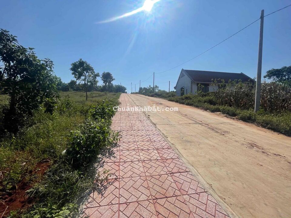 Đất thổ cư thị trấn Nam Ban cách nhựa 100m Đất thổ cư thị trấn Nam Ban cách nhựa 100m