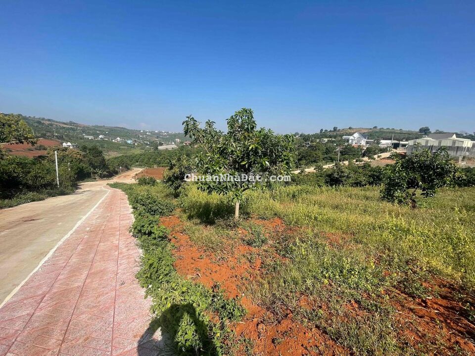 Đất thổ cư thị trấn Nam Ban cách nhựa 100m Đất thổ cư thị trấn Nam Ban cách nhựa 100m