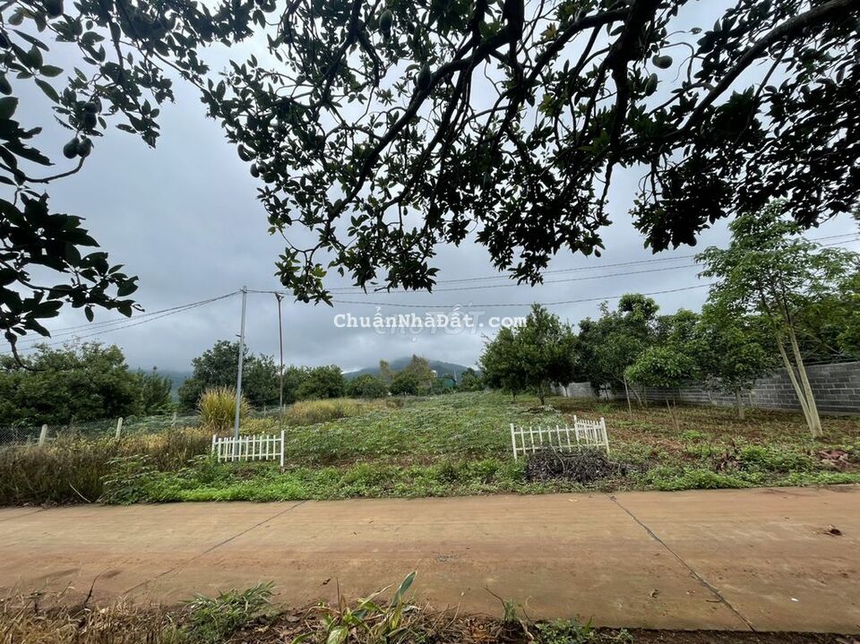 Đất thổ cư thị xã Đông Thanh sát đường nhựa view thoáng Đất thổ cư thị xã Đông Thanh sát đường nhựa view thoáng