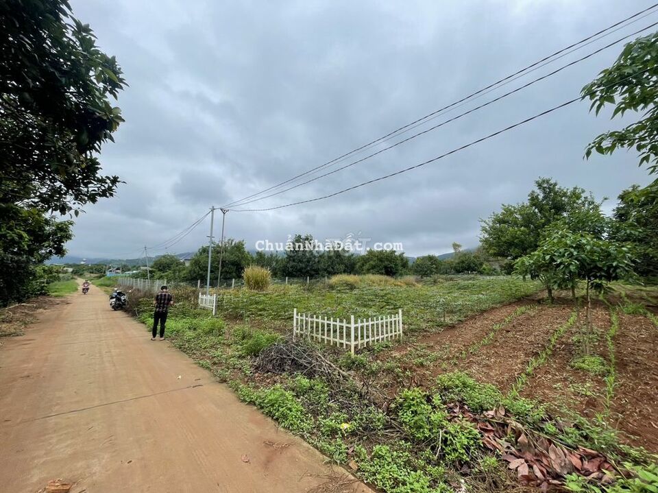 Đất thổ cư thị xã Đông Thanh sát đường nhựa view thoáng Đất thổ cư thị xã Đông Thanh sát đường nhựa view thoáng