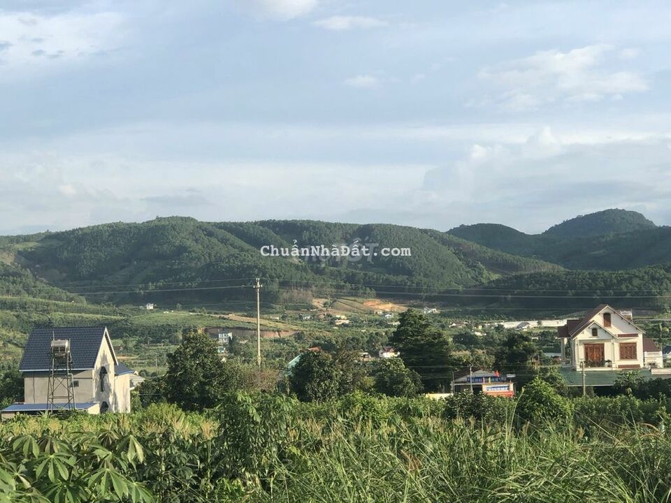 Cần bán đất thổ cư xã Đông Thanh cách nhựa 100m