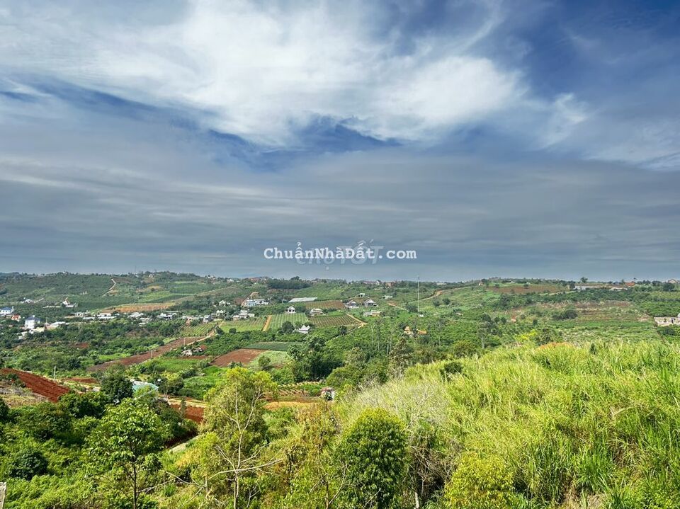 Đất thổ cư thị trấn Nam Ban view đỉnh săn mây Đất thổ cư thị trấn Nam Ban view đỉnh săn mây