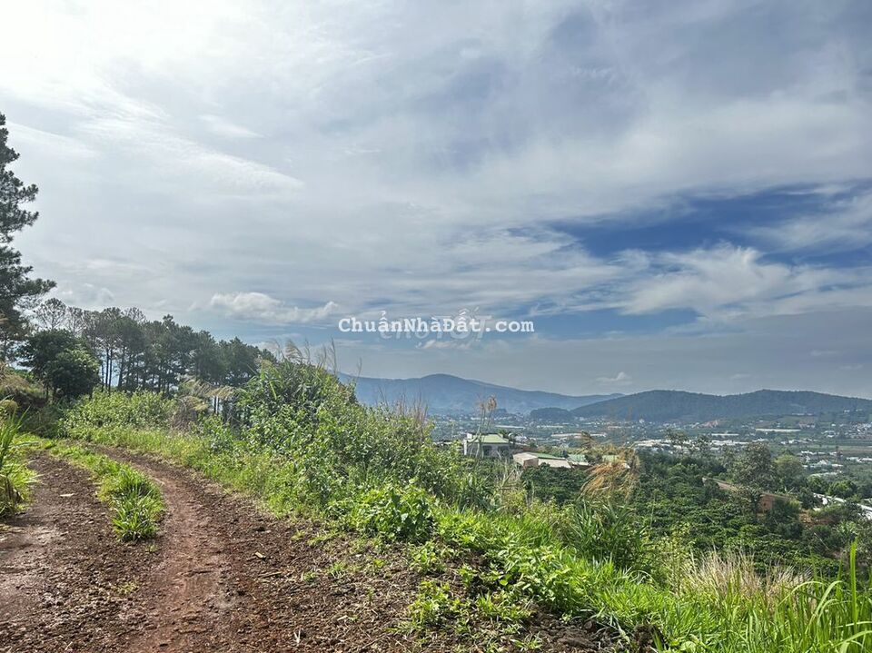 Đất thổ cư thị trấn Nam Ban view đỉnh săn mây Đất thổ cư thị trấn Nam Ban view đỉnh săn mây