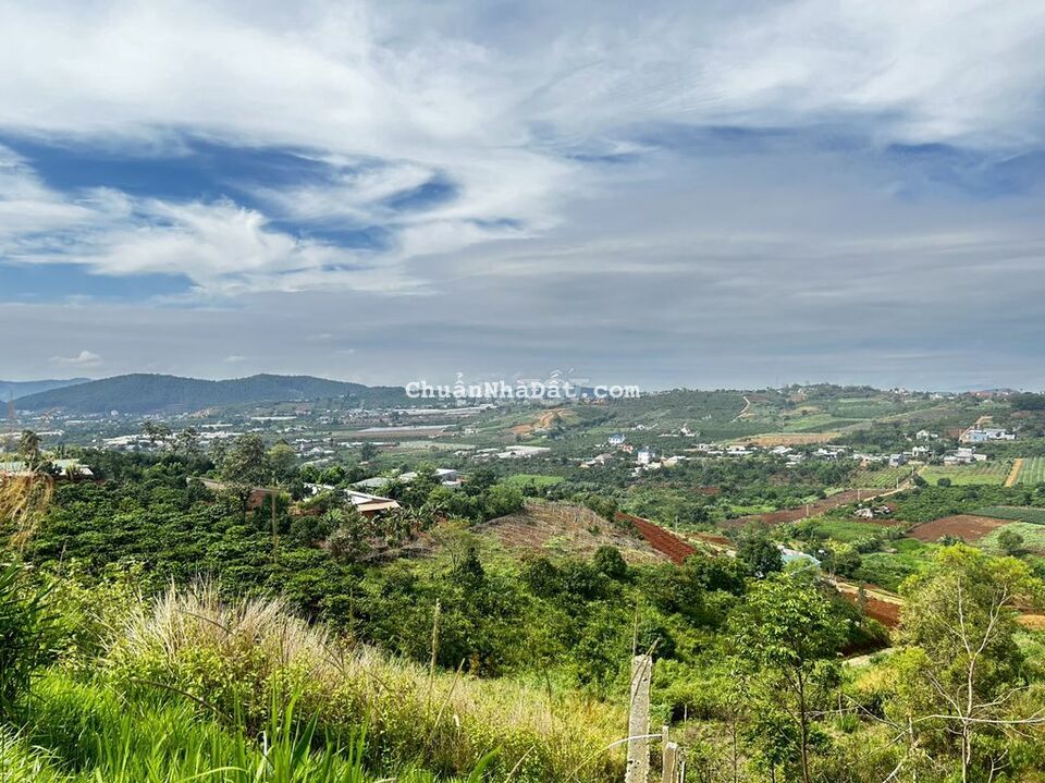 Đất thổ cư thị trấn Nam Ban view đỉnh săn mây Đất thổ cư thị trấn Nam Ban view đỉnh săn mây