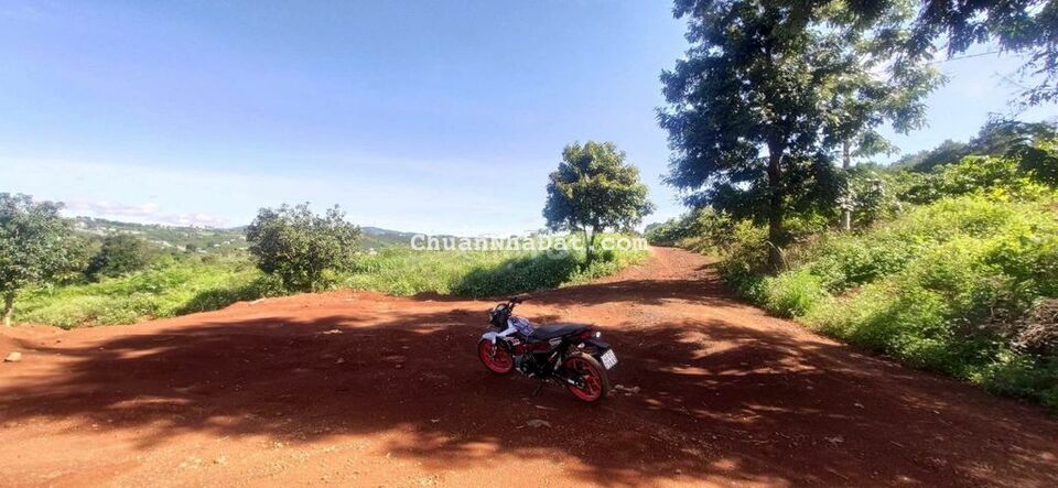 Đất nghỉ dưỡng thị trấn Nam Ban cách chợ Thăng Long 3km giá 900 triệu