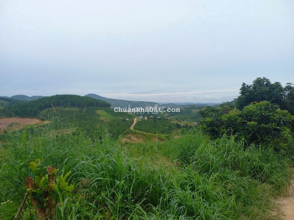 Cần tiền bán nhanh lô đất ngang 10m, có thổ cư Cần tiền bán nhanh lô đất ngang 10m, có thổ cư