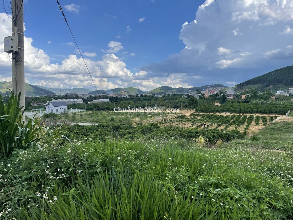 Ngân hàng dí nên chủ bán lỗ lô đất mặt đường nhựa thôn 3 Mê Linh Ngân hàng dí nên chủ bán lỗ lô đất mặt đường nhựa thôn 3 Mê Linh